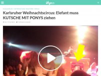 Bild zum Artikel: Karlsruher Weihnachtscircus: Elefant muss KUTSCHE MIT PONYS ziehen