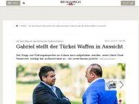 Bild zum Artikel: Gabriel stellt der Türkei Waffen in Aussicht