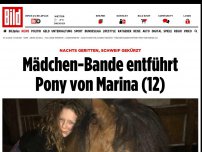 Bild zum Artikel: Fiese Nacht-Aktion - Mädchen-Bande entführt Pony von Marina (12)