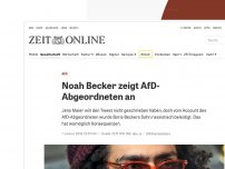 Bild zum Artikel: AfD: Noah Becker zeigt AfD-Abgeordneten an