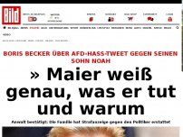 Bild zum Artikel: Becker über AfD-Tweet - » Maier weiß genau, was er tut