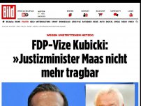 Bild zum Artikel: Wegen NetzDG - FDP-Vize Kubicki: »Maas ist nicht mehr tragbar