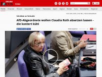 Bild zum Artikel: Schreiben an Schäuble - AfD-Abgeordnete wollen Claudia Roth absetzen lassen - die kontert kühl