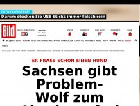 Bild zum Artikel: Er fraß schon einen Hund - Sachsen gibt Problem- Wolf zum Abschuss frei