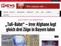 Bild zum Artikel: „Halt’s Maul und verpiss Dich“ „Tali-Bahn“ – Irrer Afghane legt gleich drei Züge in Bayern lahm