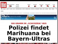 Bild zum Artikel: Anderthalb Kilo! - Polizei findet Marihuana bei Bayern-Ultras