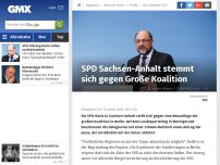 Bild zum Artikel: SPD Sachsen-Anhalt stemmt sich gegen Große Koalition