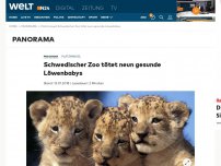 Bild zum Artikel: Schwedischer Zoo tötet neun gesunde Löwenbabys