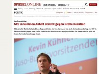 Bild zum Artikel: Landesparteitag: SPD in Sachsen-Anhalt stimmt gegen Große Koalition