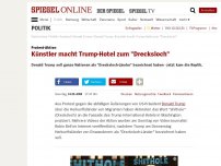 Bild zum Artikel: Protest-Aktion: Künstler macht Trump-Hotel zum 'Drecksloch'