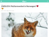 Bild zum Artikel: ENDLICH: Pelzfarmverbot in Norwegen! ❤️