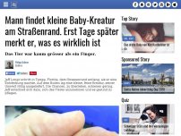 Bild zum Artikel: Mann findet kleine Baby-Kreatur am Straßenrand. Erst Tage später merkt er, was es wirklich ist