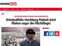 Bild zum Artikel: Kriminalitäts-Hochburg Malmö: Jetzt fliehen sogar die Flüchtlinge!