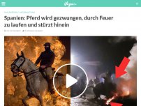 Bild zum Artikel: Spanien: Pferd wird gezwungen, durch Feuer zu laufen und stürzt hinein