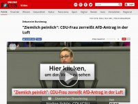 Bild zum Artikel: Debatte im Bundestag - 'Ziemlich peinlich': CDU-Frau zerreißt AfD-Antrag in der Luft