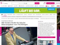 Bild zum Artikel: AfD fordert Strafe für falsche Altersangaben von Flüchtlingen