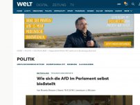 Bild zum Artikel: Wie sich die AfD mit dem „Hammelsprung“ selbst bloßstellt