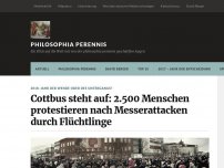 Bild zum Artikel: Cottbus steht auf: 2.500 Menschen protestieren nach Messerattacken durch Flüchtlinge
