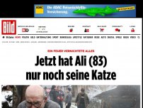 Bild zum Artikel: Feuer-Drama - Jetzt hat er nur noch seine Katze