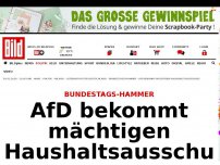 Bild zum Artikel: Bundestags-Hammer - AfD bekommt mächtigen Haushaltsausschuss 