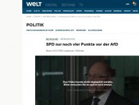 Bild zum Artikel: SPD nur noch vier Punkte vor der AfD