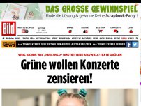 Bild zum Artikel: Wegen „Frei.Wild“ - Grüne wollen Konzerte zensieren!