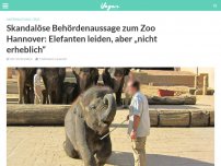 Bild zum Artikel: Skandalöse Behördenaussage zum Zoo Hannover: Elefanten leiden, aber „nicht erheblich“
