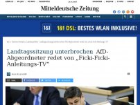Bild zum Artikel: Landtagssitzung unterbrochen: AfD-Abgeordneter redet von „Ficki-Ficki-Anleitungs-TV“