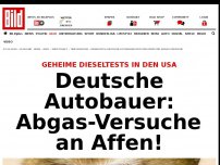 Bild zum Artikel: Geheime Dieseltests in USA - VW, BMW und Daimler: Abgas-Versuche an Affen!