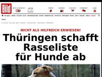 Bild zum Artikel: Nicht als hilfreich erwiesen! - Thüringen schafft Rasseliste für Hunde ab