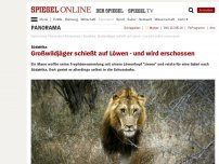 Bild zum Artikel: Südafrika: Großwildjäger schießt auf Löwen - und wird erschossen