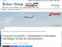 Bild zum Artikel: Tierpark Neukölln: Unbekannte schlachten trächtiges Schaf im Streichelzoo