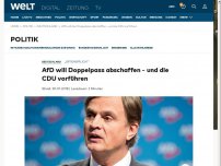 Bild zum Artikel: AfD will Doppelpass abschaffen – und die CDU vorführen