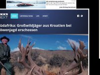 Bild zum Artikel: Südafrika: Großwildjäger aus Kroatien bei Löwenjagd erschossen