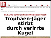 Bild zum Artikel: Er schoss gerade Löwen - Trophäen-Jäger stirbt durch verirrte Kugel