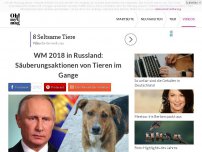 Bild zum Artikel: WM 2018: So grausam geht Putin jetzt gegen Tiere vor!