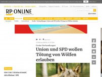 Bild zum Artikel: Groko-Verhandlungen - Union und SPD wollen Tötung von Wölfen erlauben