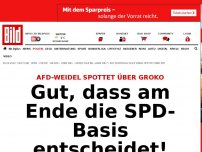 Bild zum Artikel: AfD-Weidel spottet über GroKo - Gut, dass am Ende die SPD-Basis entscheidet!