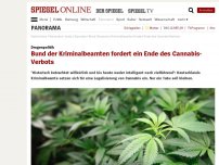 Bild zum Artikel: Drogenpolitik: Bund der Kriminalbeamten fordert ein Ende des Cannabis-Verbots
