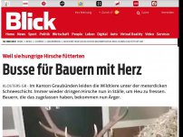 Bild zum Artikel: Weil sie hungrige Hirsche fütterten: Busse für Bauern mit Herz