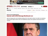 Bild zum Artikel: Streit bei den Sozialdemokraten: Gabriel wirft SPD-Führung Wortbruch vor