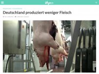 Bild zum Artikel: Deutschland produziert weniger Fleisch