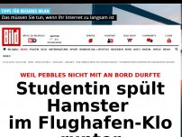 Bild zum Artikel: Nicht an Bord gelassen - Studentin spült Hamster im Flughafen-Klo runter