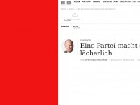 Bild zum Artikel: SPD versinkt im Chaos: Eine Partei macht sich lächerlich