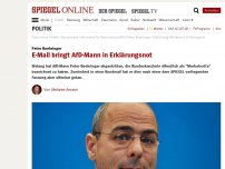 Bild zum Artikel: Peter Boehringer: E-Mail bringt AfD-Mann in Erklärungsnot