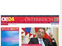 Bild zum Artikel: Kickl will 'Asyl auf Zeit' verstärken