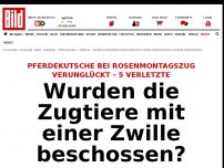 Bild zum Artikel: Karnevalszug gestoppt - Pferde drehen durch, Kutsche verunglückt!