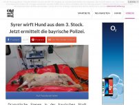 Bild zum Artikel: Syrer wirft Hund aus dem 3. Stock. Jetzt ermittelt die bayrische Polizei.