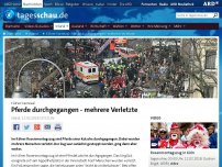 Bild zum Artikel: Kölner Karneval: Pferde durchgegangen - mehrere Verletzte