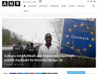 Bild zum Artikel: Schluss mit Multikulti und Migranten: Dänemark schafft Asylrecht für Nicht-EU-Bürger ab